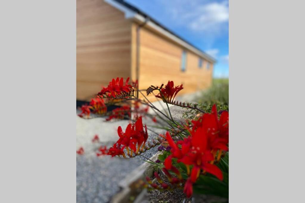 The Gallafield, Self Catering Bungalow , Stornoway Сторноуей Екстериор снимка